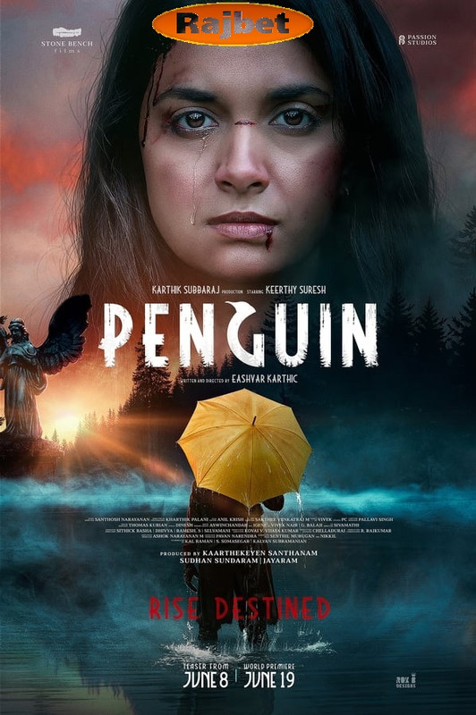 Download Penguin (2020) [Hindi (HQ Voice Over) Movie WEB – DL || 720p [1.2GB]