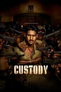 Download Custody (2023) Dual Audio {Hindi ORG} Movie WEB-DL || 480p [500MB] || 720p [1.3GB] || 1080p [2.9GB]